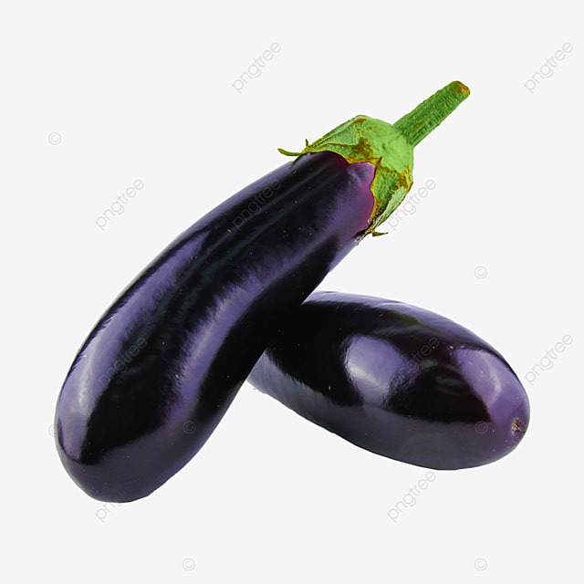 Aubergine 